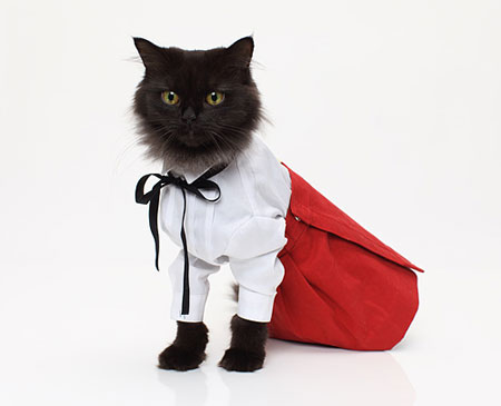 Медицинская и специальная одежда для котов и кошек от компании “U:ME”