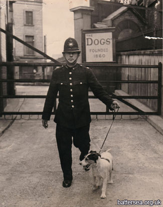 Battersea Dogs &  Cats Home и полиция Лондона - официальное партнерство