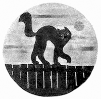 13 черных котов - логотип отряда летчиков
