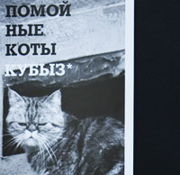 Антигламурный календарь с бездомными кошками