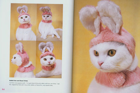 «Модные кошки» - новая книга от кошачьего кутюрье Такоко Иваса