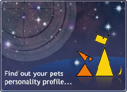 Личный астролог для кошки составит индивидуальный гороскоп