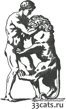 Геракл и Немейский лев