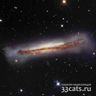 Cпиральная галактика NGC 3628 в созвездии Льва