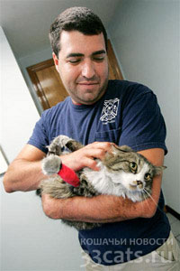 спасенная кошка на руках пожарного