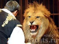 Цирковой лев Цезарь