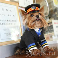 Собака - начальник железнодорожной станции в Японии