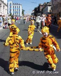 «День Тигра» - любимый праздник детворы и взрослых