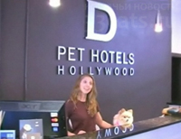Отель для собак в Голливуде