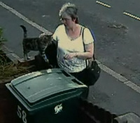 Камера расскажет правду - как кошка оказалась в мусорном баке